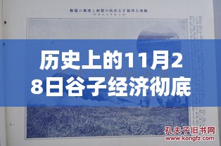 历史上的11月28日谷子经济繁荣之火燃起