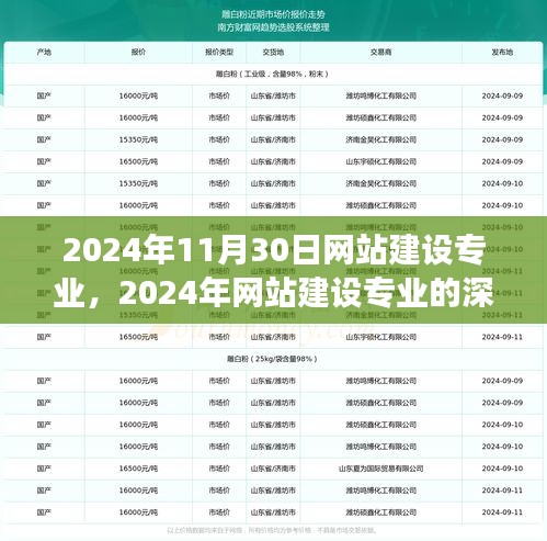 2024年网站建设专业深度探讨，价值与前景展望