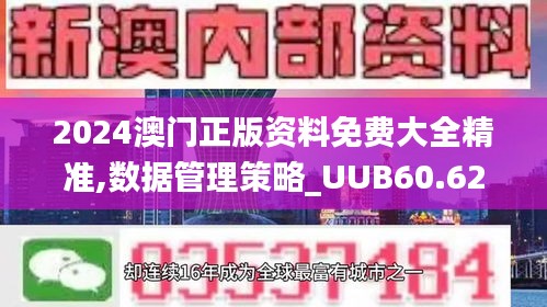 2024澳门正版资料免费大全精准,数据管理策略_UUB60.628交互版