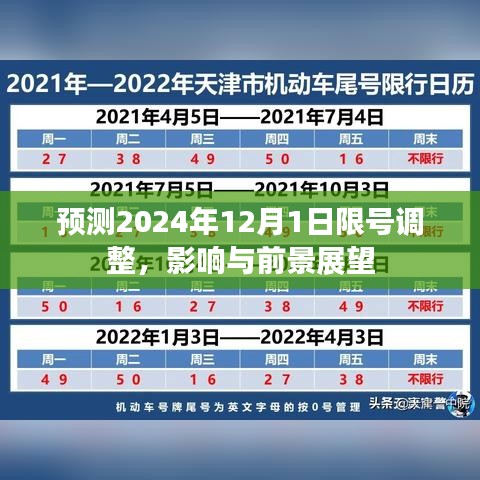 2024年限号调整展望，影响与前景深度剖析