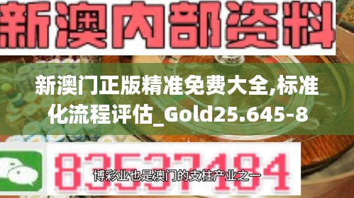 新澳门正版精准免费大全,标准化流程评估_Gold25.645-8