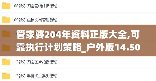 管家婆204年资料正版大全,可靠执行计划策略_户外版14.503