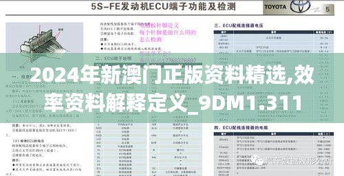 2024年新澳门正版资料精选,效率资料解释定义_9DM1.311