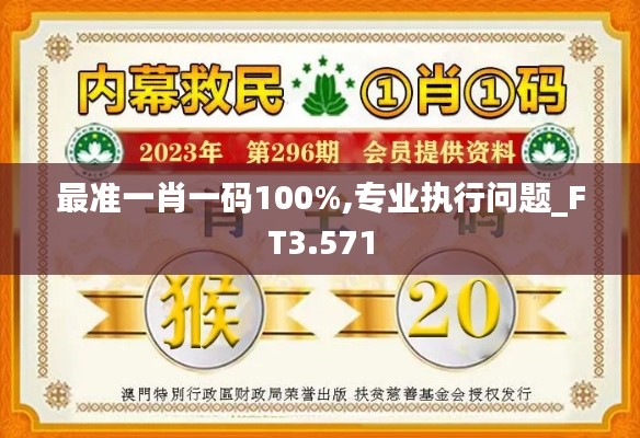 最准一肖一码100%,专业执行问题_FT3.571