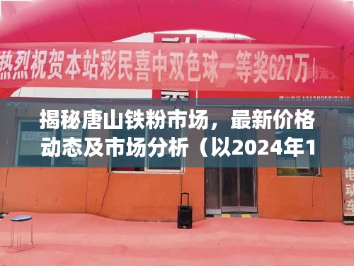 唐山铁粉市场深度解析，最新价格动态、市场分析（2024年12月6日）