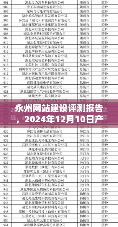 永州网站建设深度评测报告，产品解析与深度分析（2024年12月版）