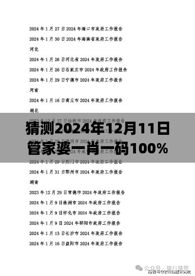 猜测2024年12月11日管家婆一肖一码100%准资料大全,深度应用解析数据_进阶版3.333