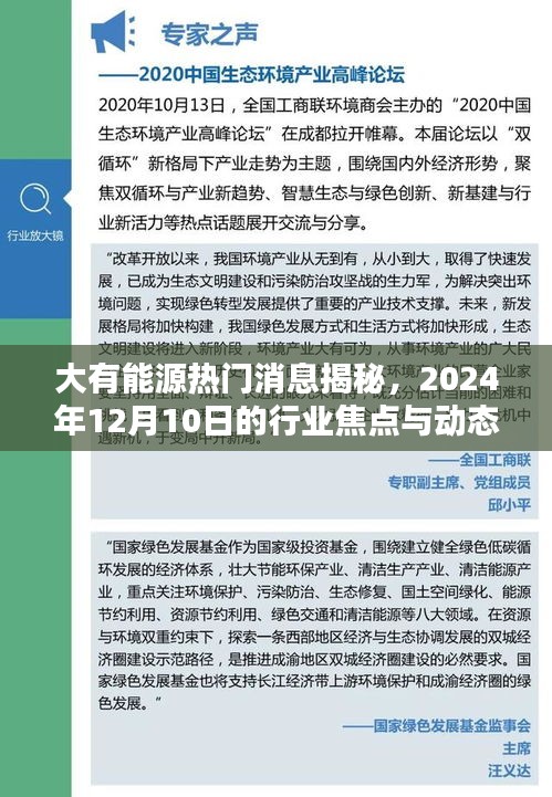 大有能源焦点，揭秘行业焦点与动态，展望2024年12月10日