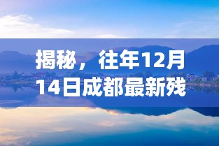 揭秘成都残障人士最新动态，深度观察与人文关怀——往年12月14日纪实