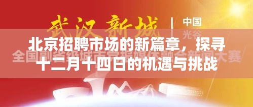 北京招聘市场新篇章，机遇与挑战并存，探寻十二月十四日的职场动态