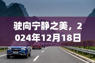 S2990高速，驶向宁静之美的实时路况探索之旅（2024年12月18日）