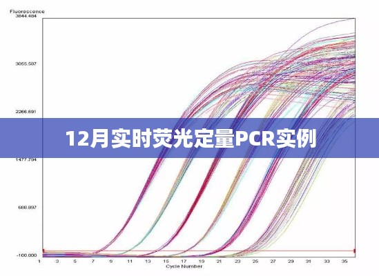 实时荧光定量PCR实验操作实例解析（12月版）