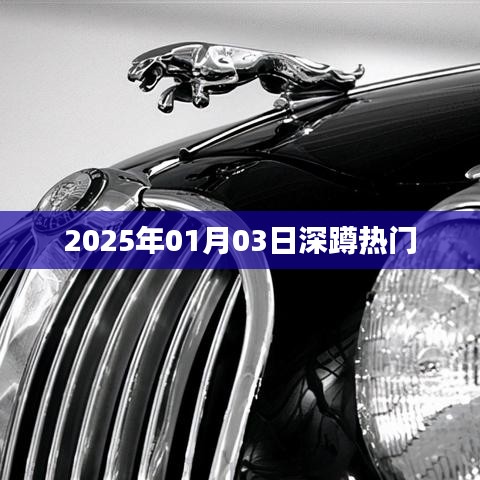 深蹲热门趋势揭秘，2025年1月3日动态分析