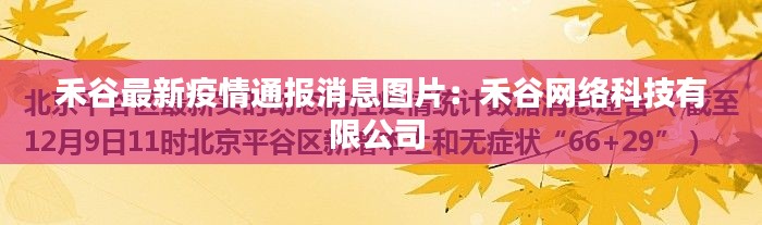 禾谷最新疫情通报消息图片：禾谷网络科技有限公司 