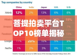 菩提拍卖平台TOP10榜单揭秘，市场领导者的影响力与优势分析