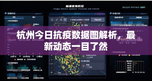 杭州今日抗疫数据图解析，最新动态一目了然