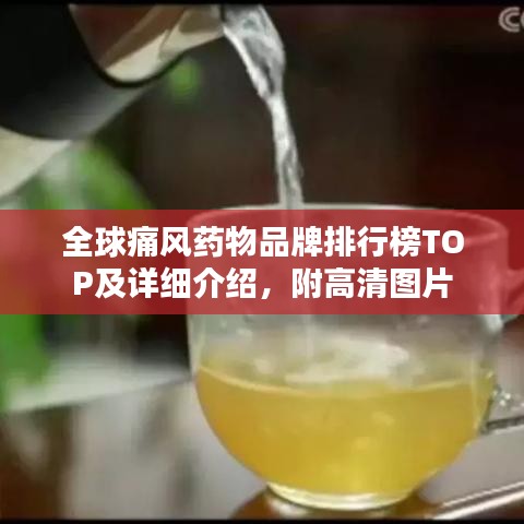 全球痛风药物品牌排行榜TOP及详细介绍，附高清图片