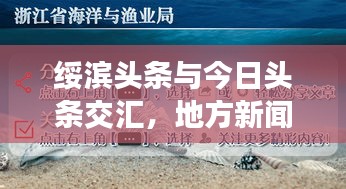 绥滨头条与今日头条交汇，地方新闻与全球资讯一网打尽