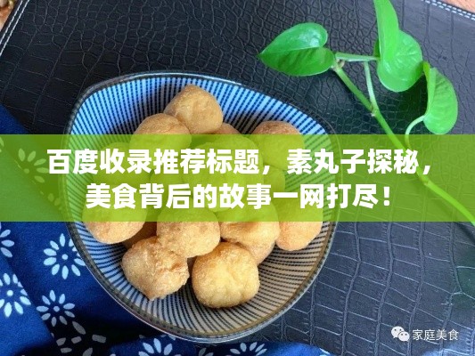 百度收录推荐标题，素丸子探秘，美食背后的故事一网打尽！