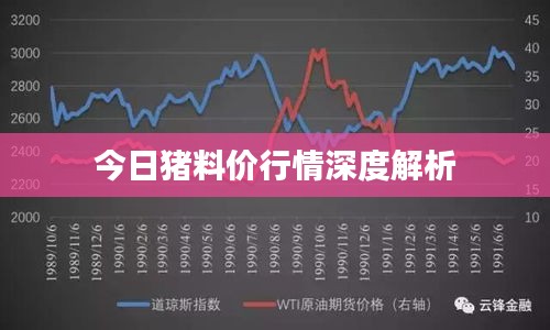 今日猪料价行情深度解析