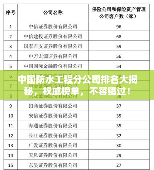 中国防水工程分公司排名大揭秘，权威榜单，不容错过！