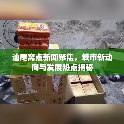 汕尾窝点新闻聚焦，城市新动向与发展热点揭秘