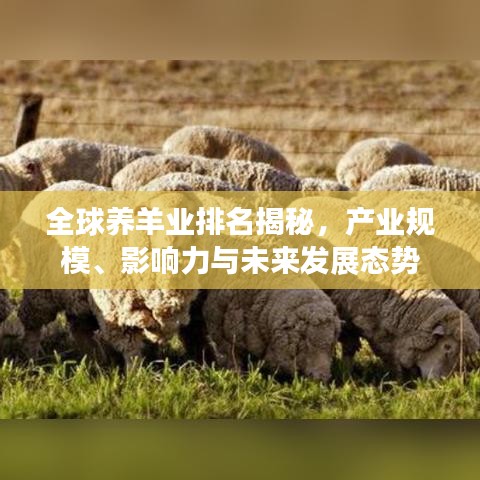 全球养羊业排名揭秘，产业规模、影响力与未来发展态势