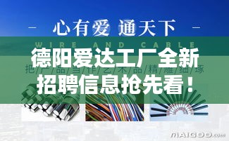 德阳爱达工厂全新招聘信息抢先看！