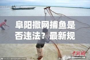 阜阳撒网捕鱼是否违法？最新规定详解