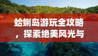 蛤蜊岛游玩全攻略，探索绝美风光与体验海岛风情