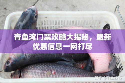 2025年4月5日 第3页