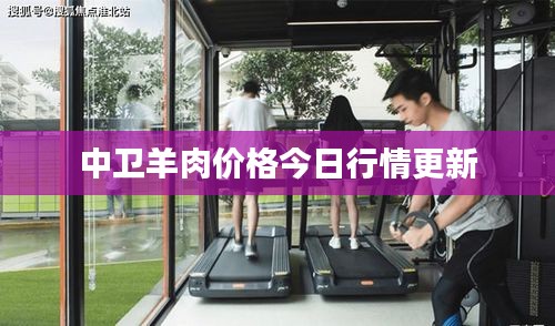 中卫羊肉价格今日行情更新