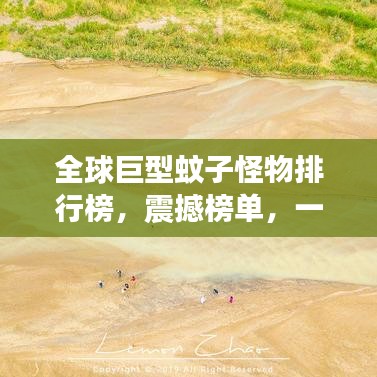 全球巨型蚊子怪物排行榜，震撼榜单，一睹最大蚊子之王风采！