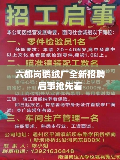 六都岗鹅绒厂全新招聘启事抢先看