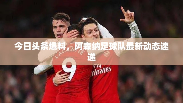 今日头条爆料，阿森纳足球队最新动态速递