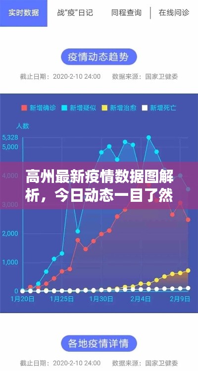 高州最新疫情数据图解析，今日动态一目了然