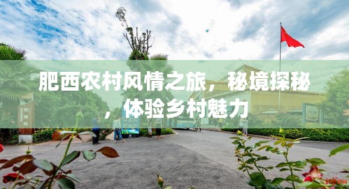 2025年5月4日