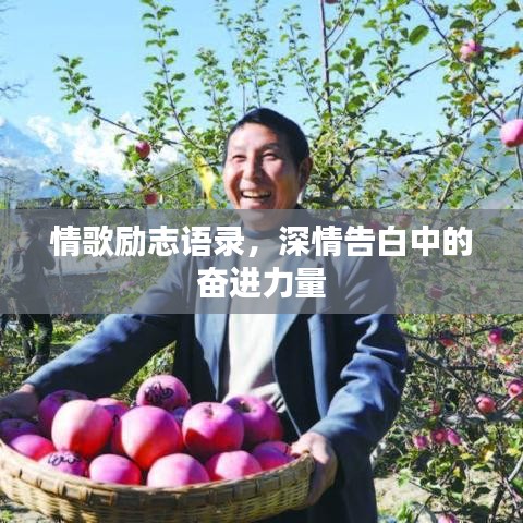 情歌励志语录，深情告白中的奋进力量