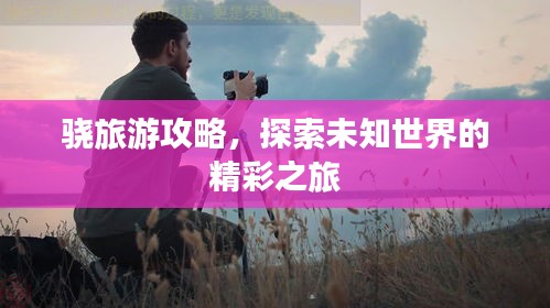 骁旅游攻略，探索未知世界的精彩之旅