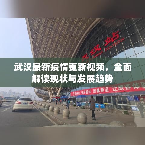武汉最新疫情更新视频，全面解读现状与发展趋势
