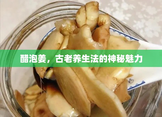醋泡姜，古老养生法的神秘魅力