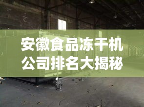 安徽食品冻干机公司排名大揭秘，行业领先的几家企业！