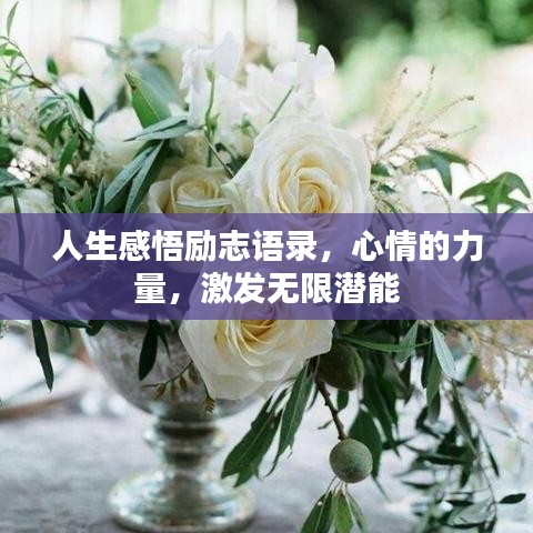 人生感悟励志语录，心情的力量，激发无限潜能