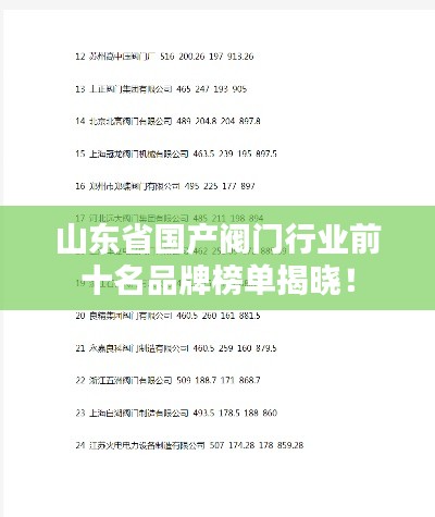 山东省国产阀门行业前十名品牌榜单揭晓！