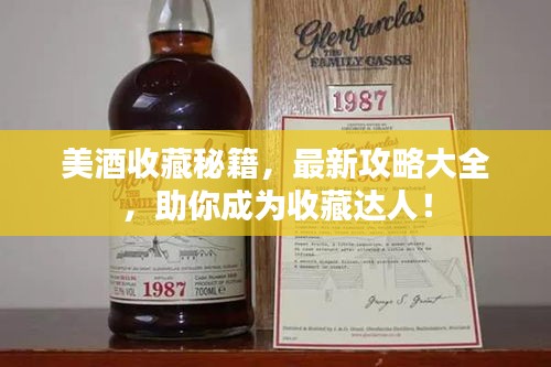 美酒收藏秘籍，最新攻略大全，助你成为收藏达人！