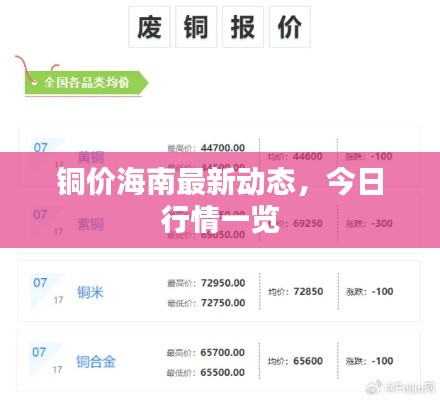 铜价海南最新动态，今日行情一览