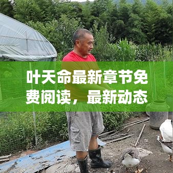 叶天命最新章节免费阅读，最新动态抢先看