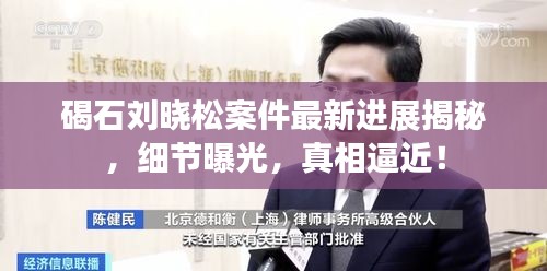 碣石刘晓松案件最新进展揭秘，细节曝光，真相逼近！