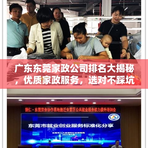 广东东莞家政公司排名大揭秘，优质家政服务，选对不踩坑！