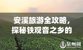 安溪旅游全攻略，探秘铁观音之乡的绝美风光与人文魅力